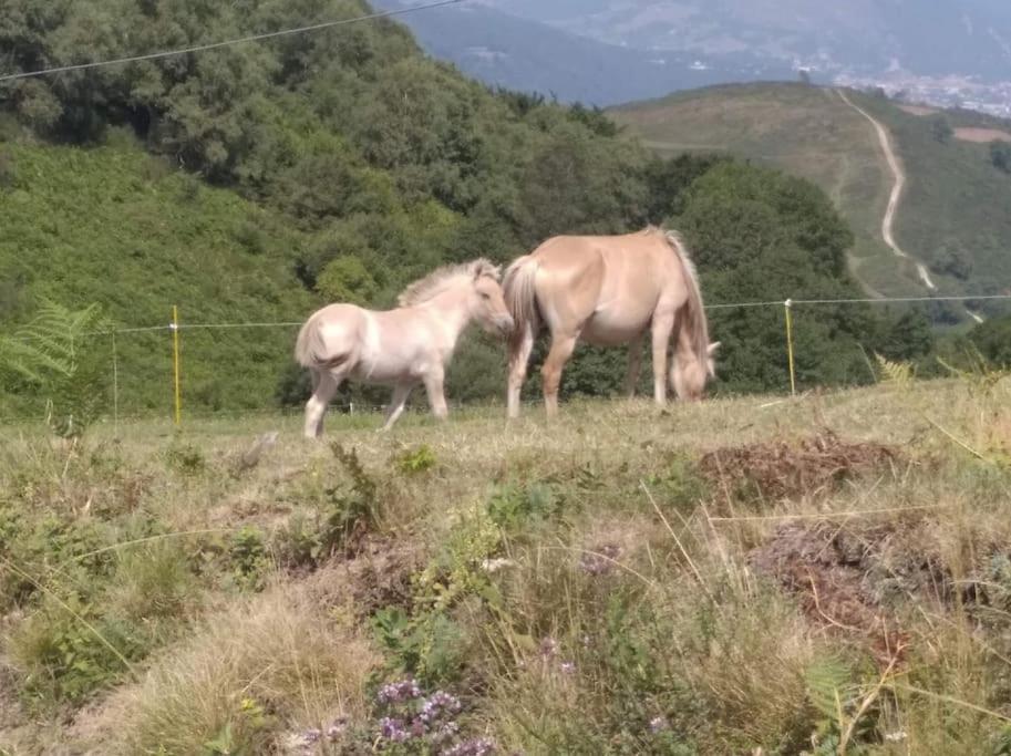 Gite La Grangette De Pauline Mercus-Garrabet Dış mekan fotoğraf
