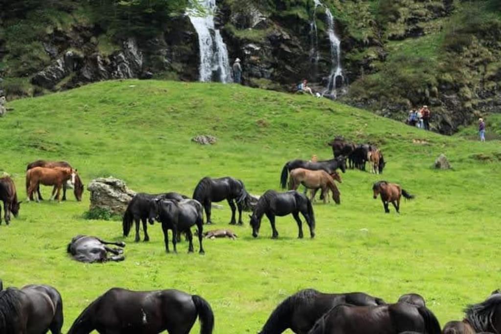 Gite La Grangette De Pauline Mercus-Garrabet Dış mekan fotoğraf