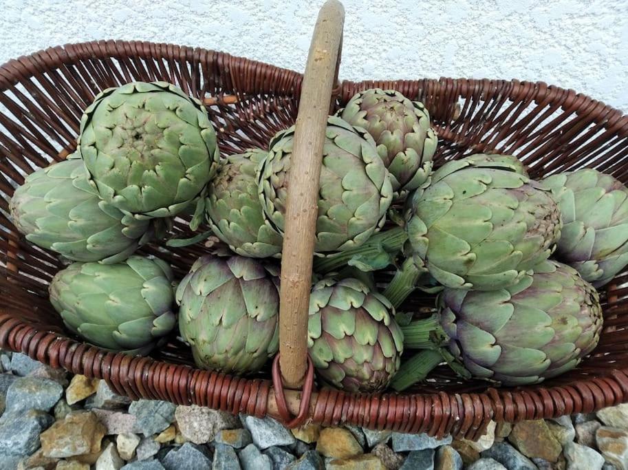 Gite La Grangette De Pauline Mercus-Garrabet Dış mekan fotoğraf