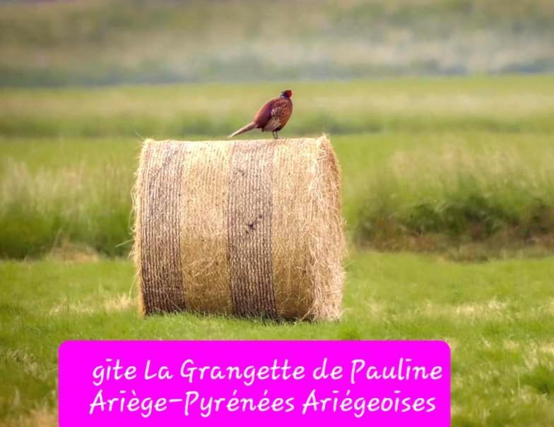 Gite La Grangette De Pauline Mercus-Garrabet Dış mekan fotoğraf
